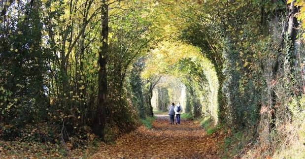 voies vertes et randonnée en bocage